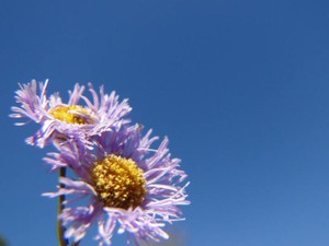 今まで周りとうまく付き合えなかったのって、私が変わってたから？