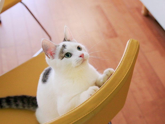 ポールとはわりとすぐに打ち解けました。