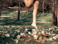 見なくてもいいものまで見てしまう。今日はスマホをおやすみしよう