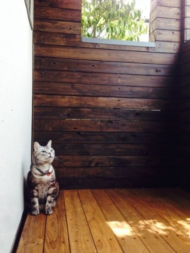 マルオもきっと見守っているよ　（近藤さん提供）