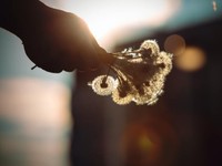 ただそこにいてくれるだけでいい。彼女は私だけの「たったひとつ」