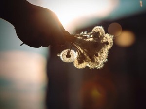 嫌いだった名字を少しずつ受け入れる。来世では選ばないけどね