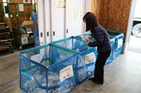 使用済みのペットボトルなどを持ち込める資源物回収ステーション（向日市役所）