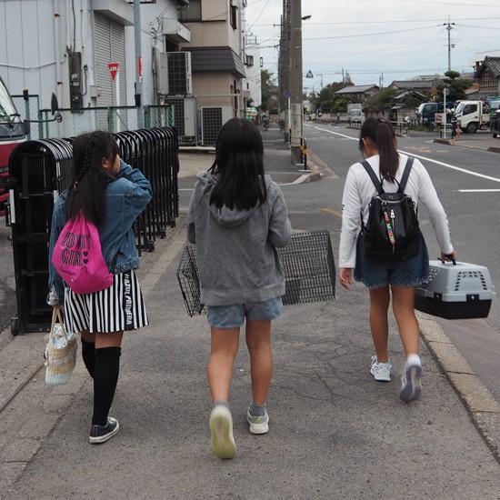 猫パト隊の仲間と（菅聖子さん提供）