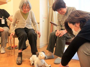 孤独を癒やすロボット「aibo」の仕掛け　愛される秘密は「ツンデレ」にあり　