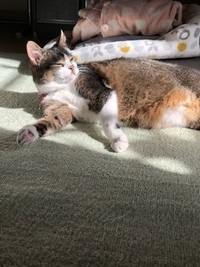 同じ時代に生まれ、出会えたことに感謝だと話す