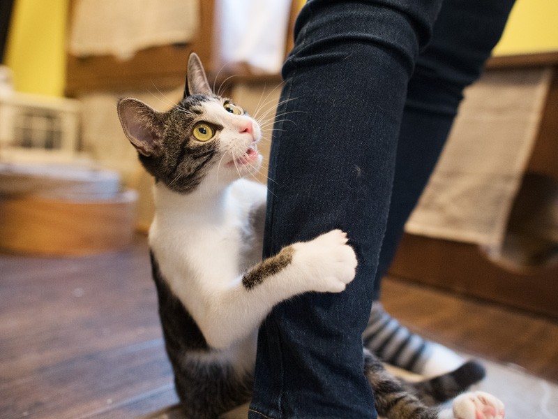 「え！おならしたの？」（小林写函撮影）
