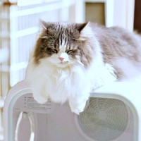 とろける寝姿がキュートなたおくん（画像提供：たおとるねさん）