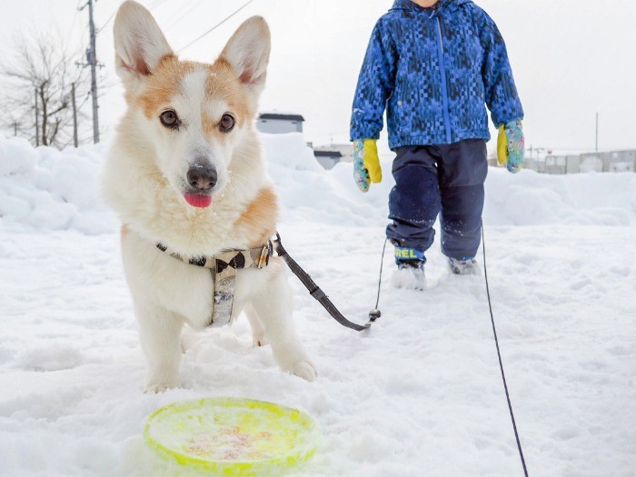 みんな雪遊びが大好き