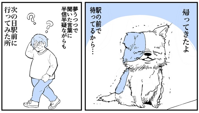 帰ってきたよ（提供：みつつぐさん）