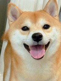 スマイル！笑顔も可愛いですね（画像提供：おかかときんぴらさん）