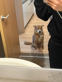 ここで待っているワン…　（画像提供：あさぎさん）