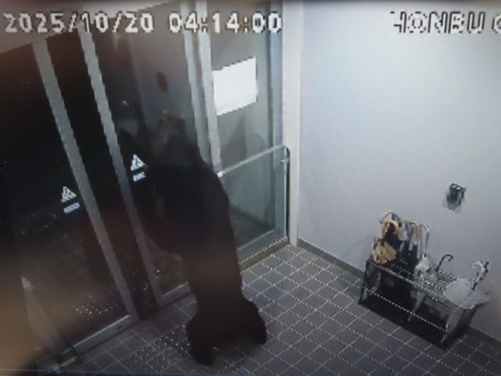 秋田県湯沢市の消防本部の防犯カメラに記録されたクマ。自動ドアをひっかいている。写真提供＝秋田県湯沢市雄勝広域市町村圏組合消防本部