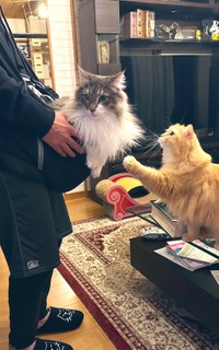 体の大きいレイくんは重過ぎました・・・（提供写真）