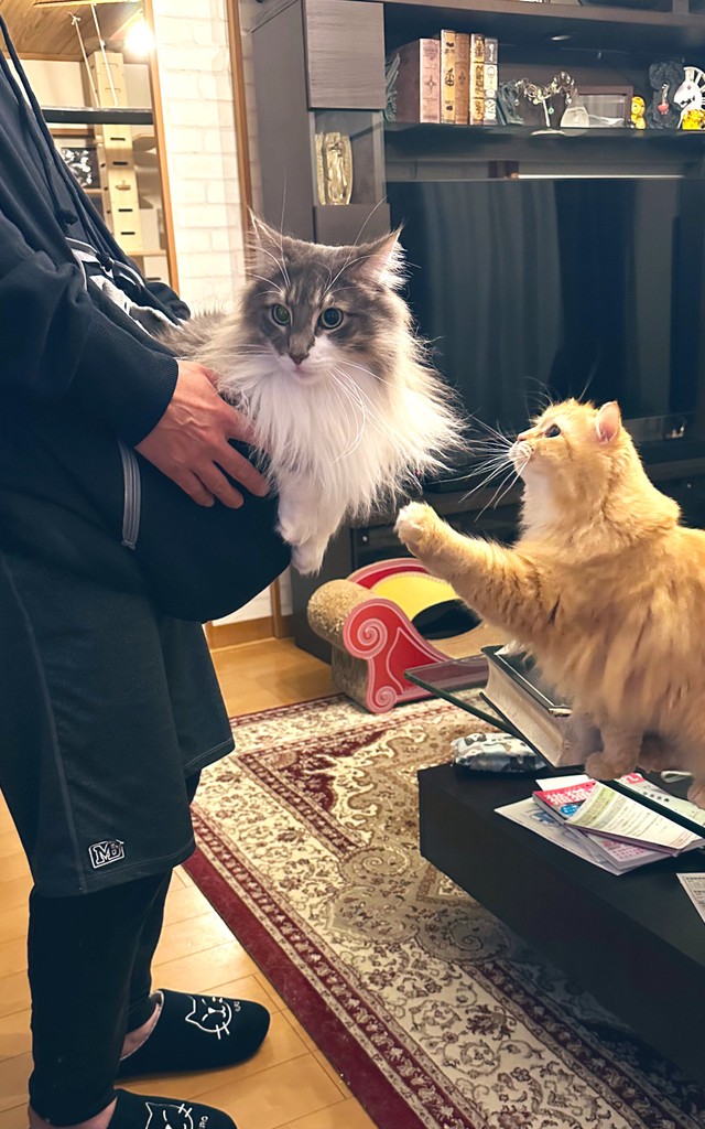 体の大きいレイくんは重過ぎました・・・（提供写真）