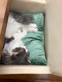 高橋克典のアメーバブログより