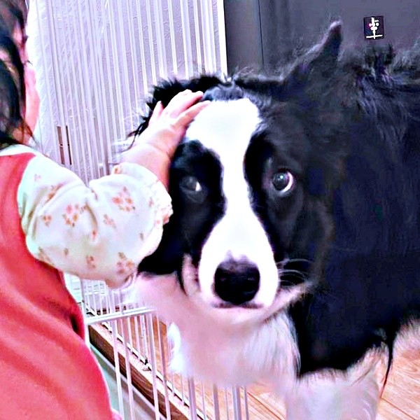 「え？ 立ってる！？」 動揺を隠せないエマちゃん（画像提供：エマ:Emmaさん）