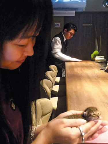 5月19日、保護当日。お店のロゴを描いた「楽描作家ひなた」さんの手のひらの中（写真提供・井上義治,やよい）