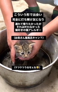 救出後、ご飯やミルクを与えたほか、お風呂にも入れたという（佐々木 幸一さん提供、Instagramよりキャプチャ撮影）