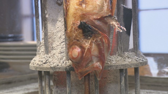 春の味覚を「原始焼き」で堪能！脂がのった北海道産のキンキ　さぬきのめざめの豚巻きも　香川【ほっとマルシェ】