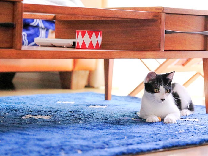 すくすく育って。