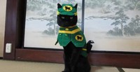 これこそ、本当のクロネコヤマト！？