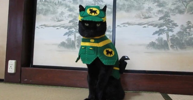 これこそ、本当のクロネコヤマト！？