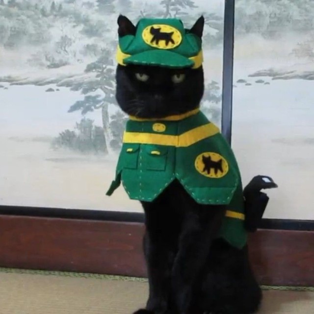 これこそ、本当のクロネコヤマト！？