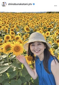 中谷しのぶアナウンサーのインスタグラム＠shinobunakatani.ytvより