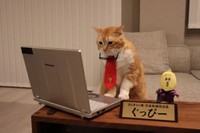 企画部員のナナナ氏と特別番組について打ち合わせ中のBSキャッ東社長・ぐっぴー（©BSテレ東）