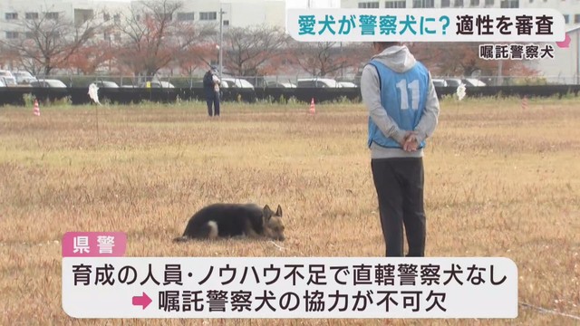 警察からの依頼で活動　嘱託警察犬の審査会　宮城・多賀城市