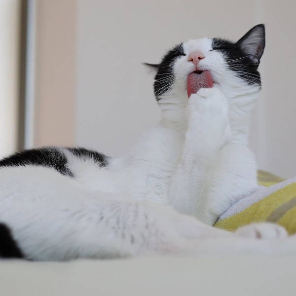 美人は、お手入れも余念なく