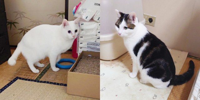 お迎え時の（左から）雪丸さん、陸さん。緊張した面持ちでした（画像提供：@marmin0501）