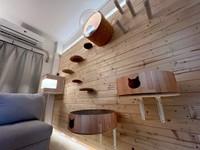 透明キャットボールからは肉球が見えて幸せ…