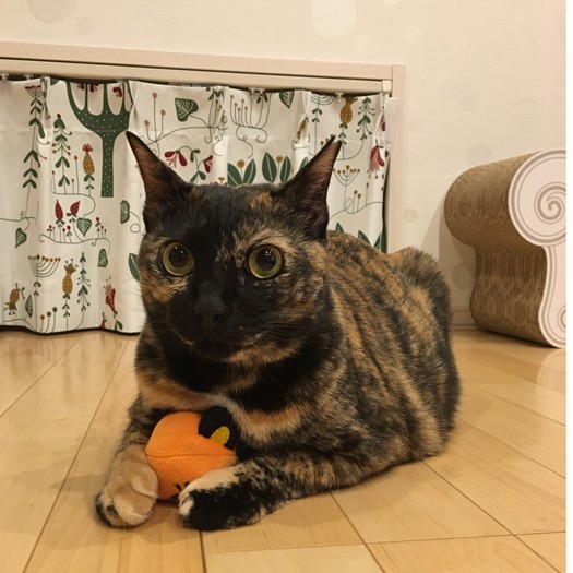 床の側にも窓がある「寝ながら見れるのよ」