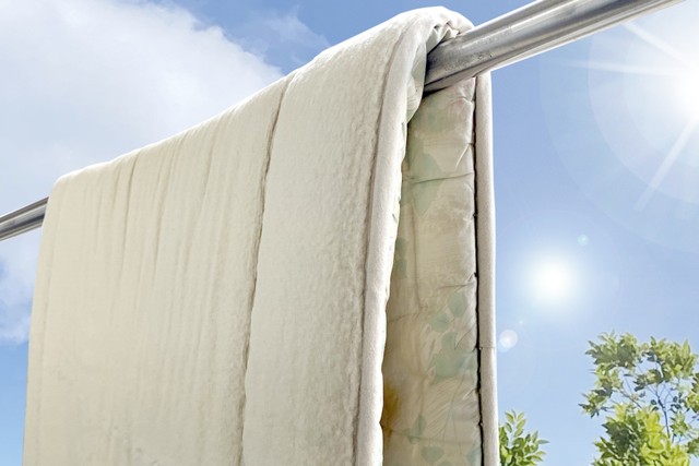 日頃のダニよけ対策も！※画像はイメージです（PhotoAC）