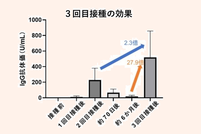 膠化