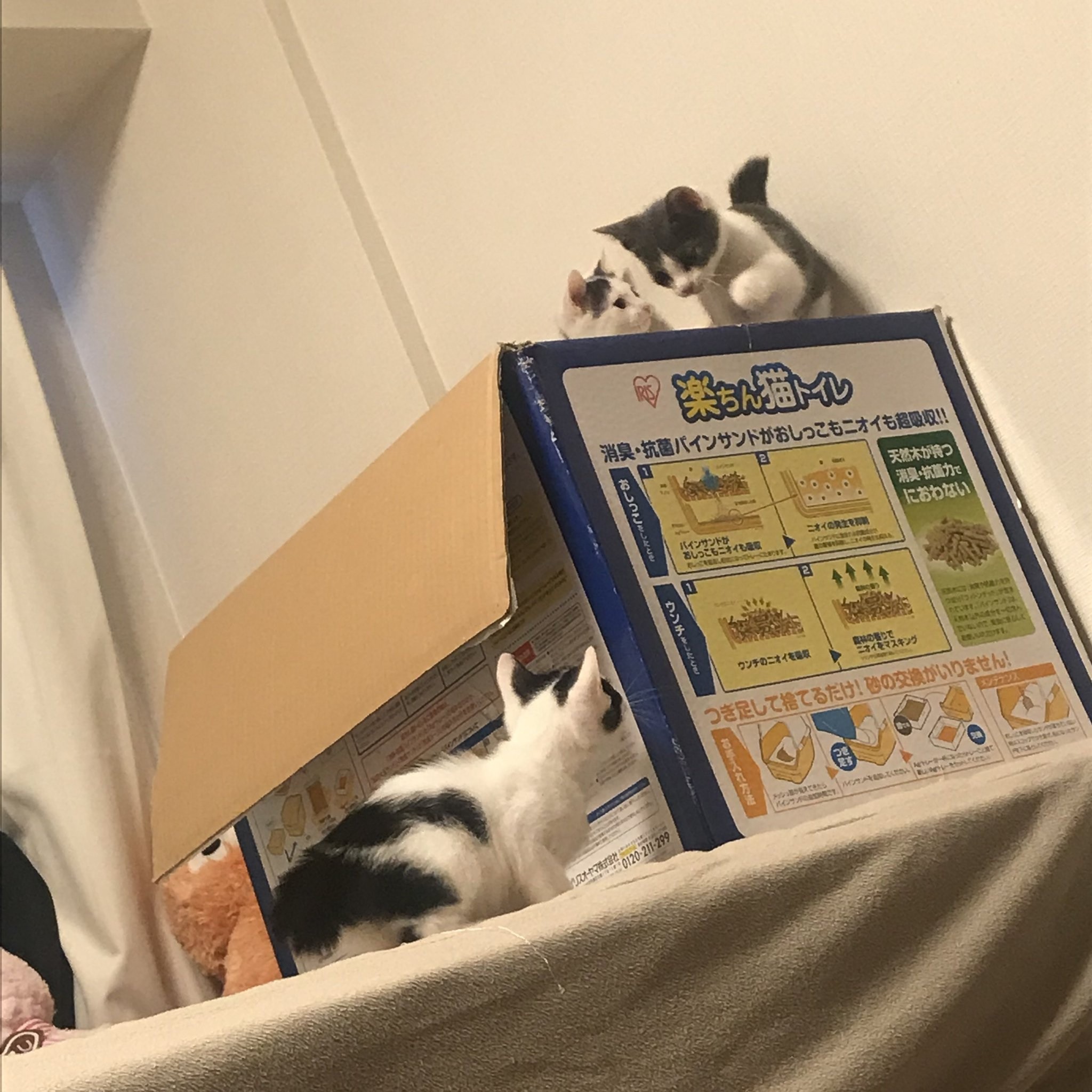 ねこ様 リクエスト 8点 まとめ商品 maro様 リクエスト 3点 まとめ商品 