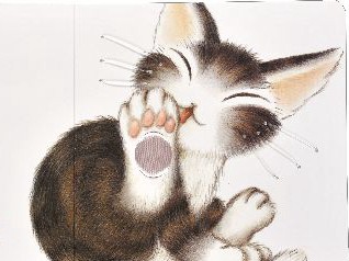 猫の「ダヤン」に触れる！？　毛や肉球を表現した初のベビー絵本