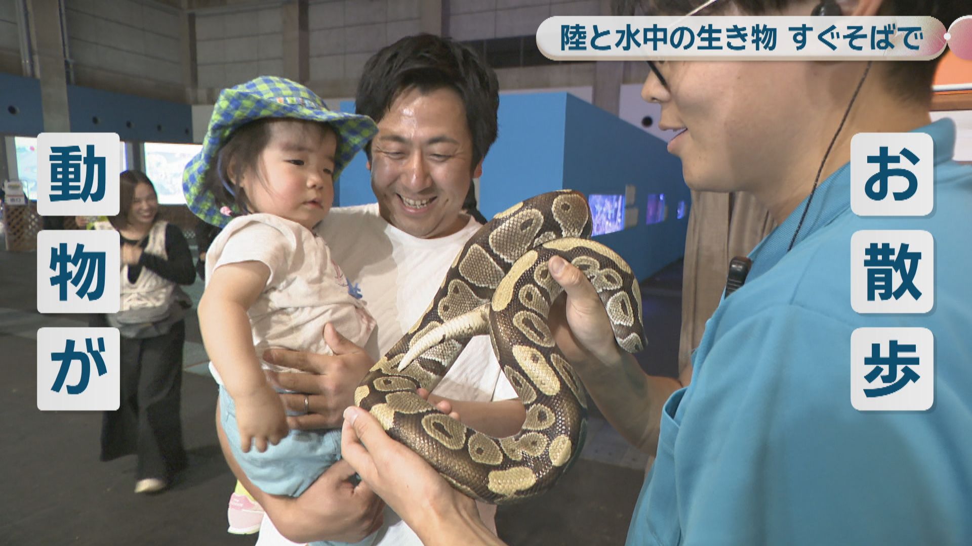 ワラビーやウミガメなど陸と水中の生き物を間近に！岡山市でイベント大