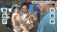 いきものワールド in コンベックス岡山