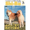 日本犬の専門誌「Ｓｈｉ―Ｂａ（シーバ）」　ふり切れた愛、わからないよ