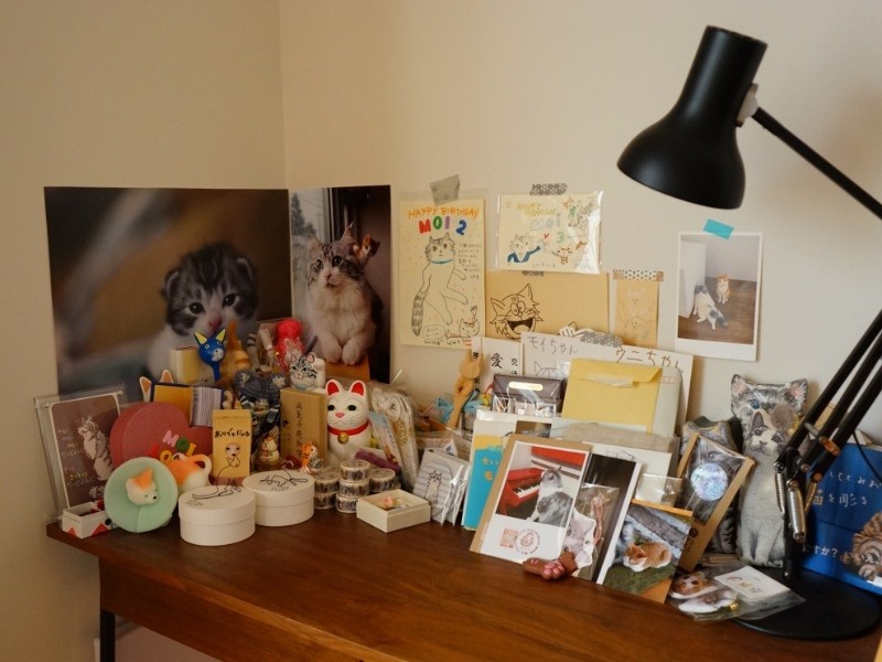 たくさんの人がモイを見守っている　お手紙や励ましも