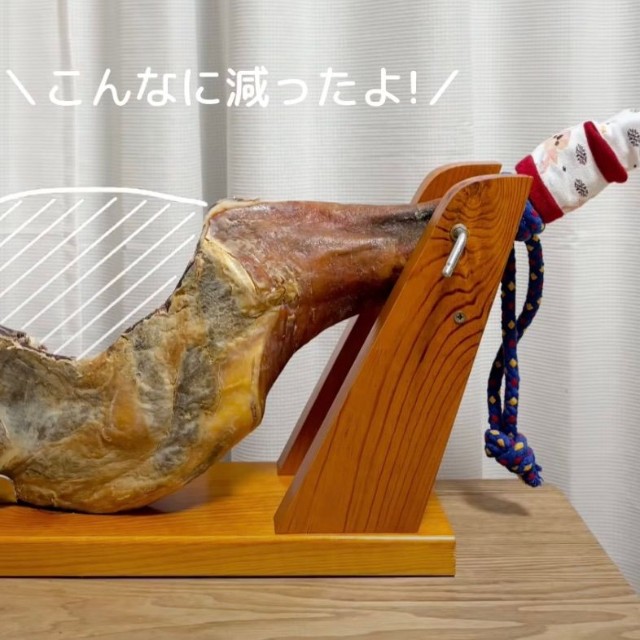 生ハム原木がある生活を始めて3カ月後のレビュー動画が話題（提供：@kuishinbo_teteさん）
