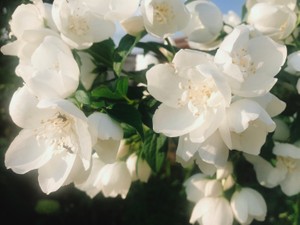 自分の顔が嫌いだった私が歯列矯正を始めたのは、自分を好きになったから