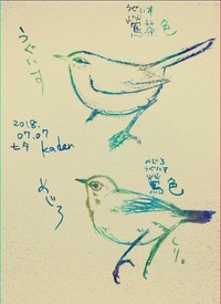 以前、kadenさんが描いたうぐいすとメジロ（kadenさん提供）