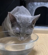 やっぱり口だけのほうが…（吉田輝和さん提供）