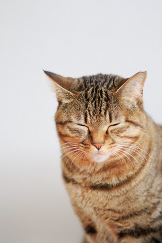 そろそろおねむの時間ですかね。