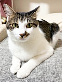 飼い主さんのお話に耳を傾けるポルくん（画像提供：ポルさん）