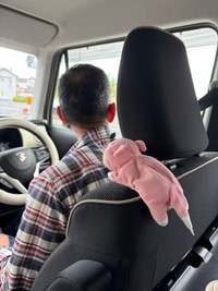 週末にじいじと共にやってきたヤドン（ミントさんXより）